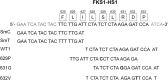 FIG 1