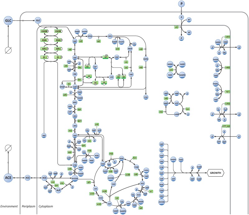 Fig 1