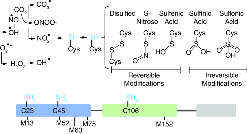 Figure 3. 