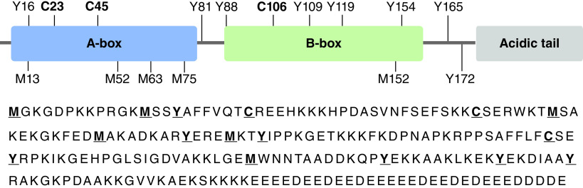 Figure 1. 