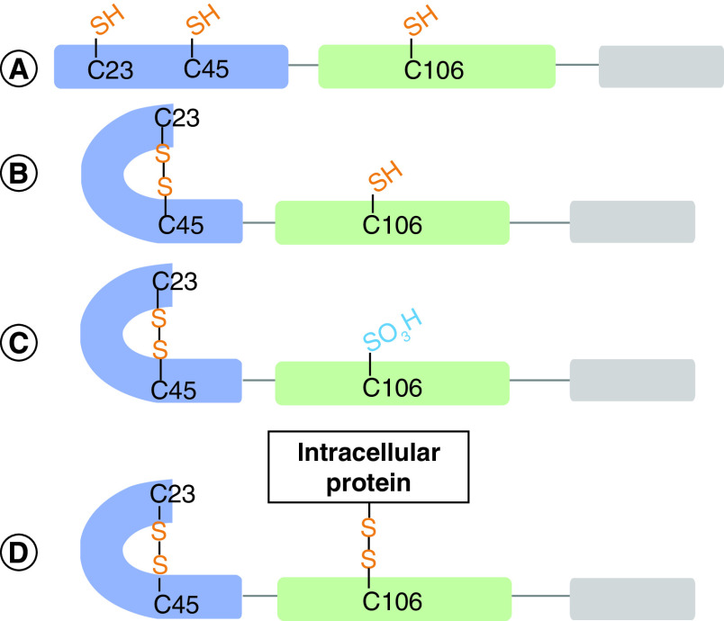 Figure 5. 