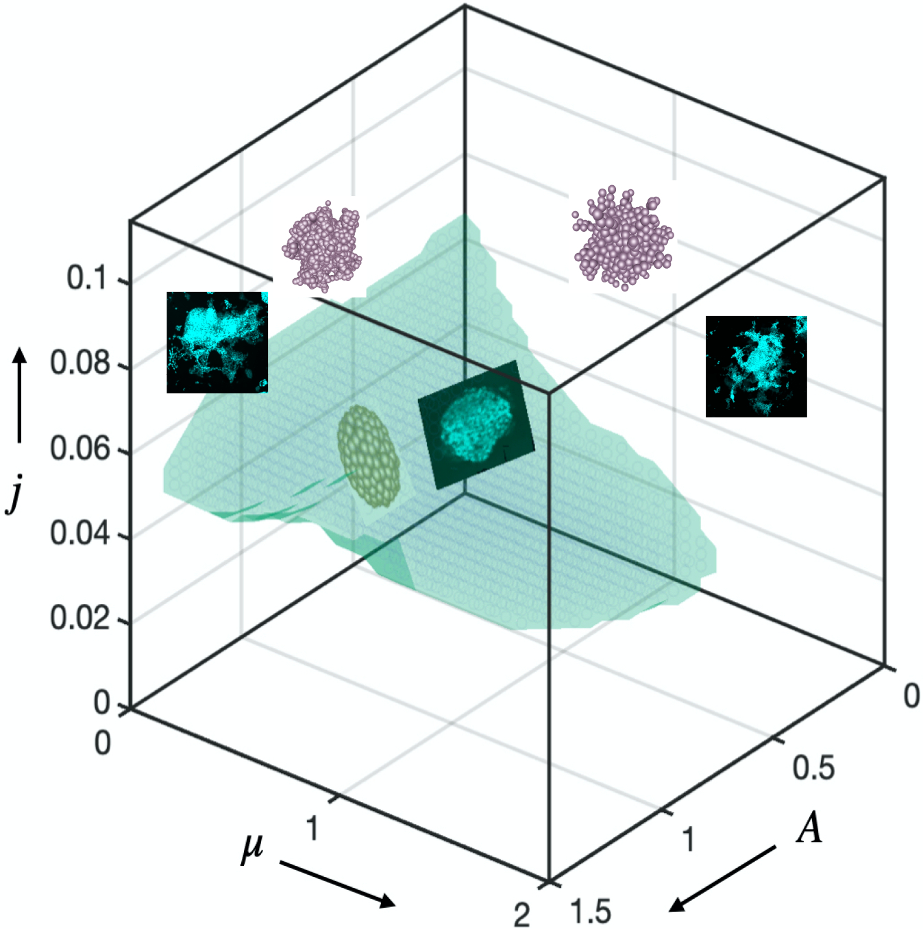 Figure 5.