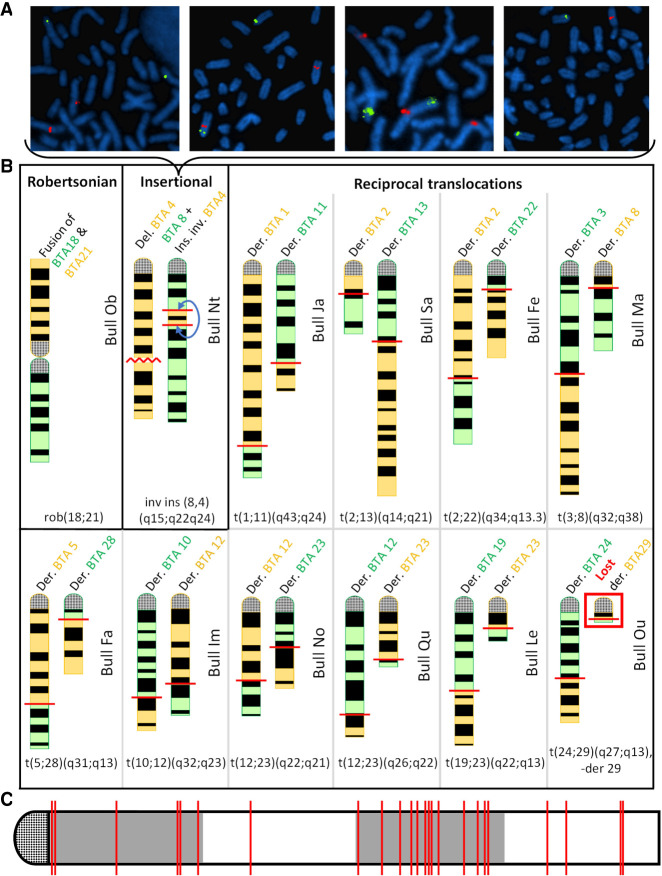 Figure 2.