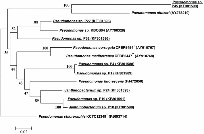 Fig. 4