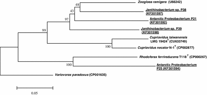 Fig. 3