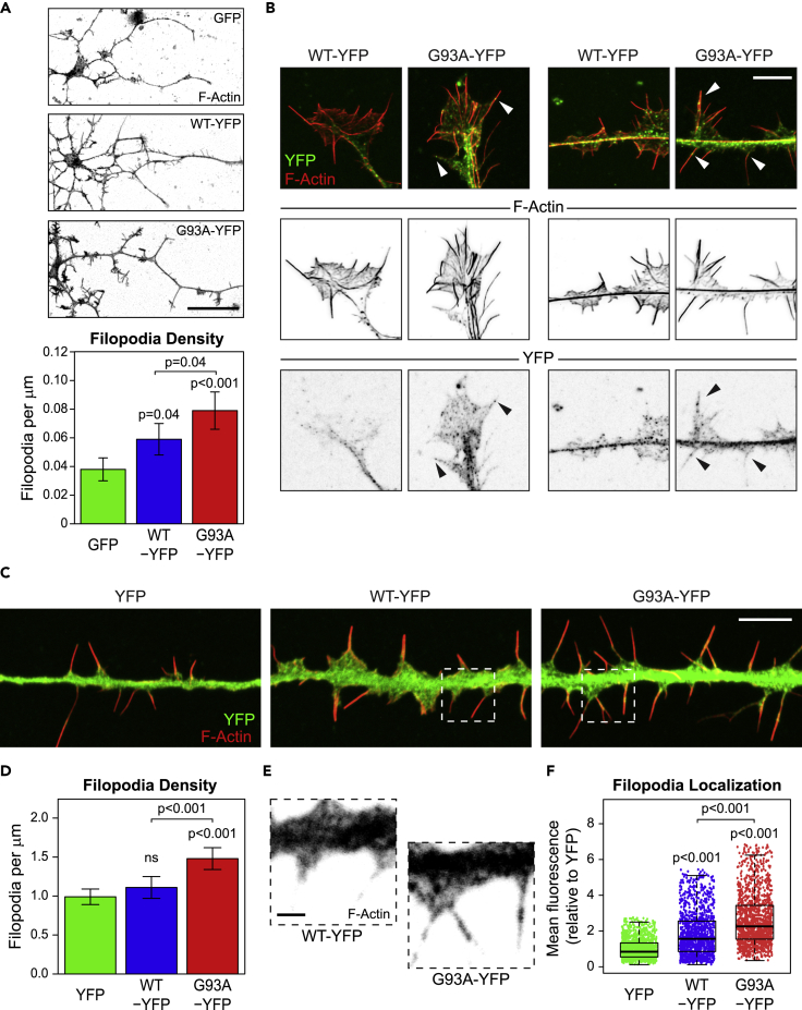 Figure 4