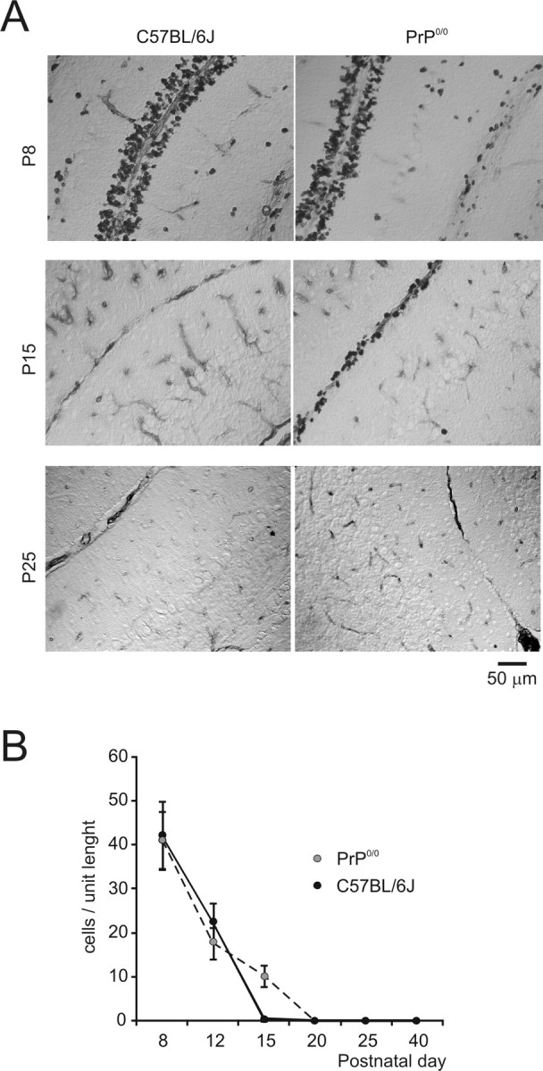 Figure 10.