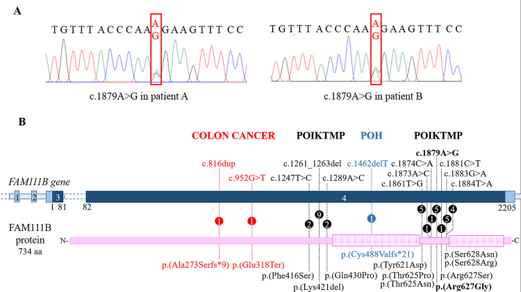 Figure 2 -