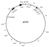 FIG. 1