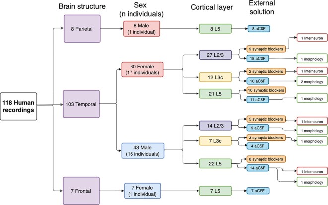 Figure 1: