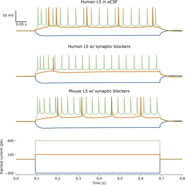 Figure 2: