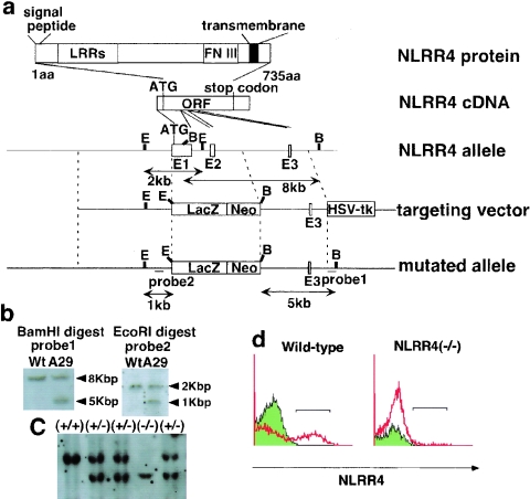 FIG. 3.