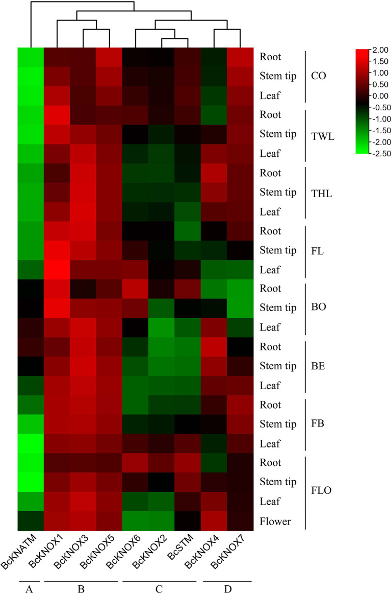 Figure 4