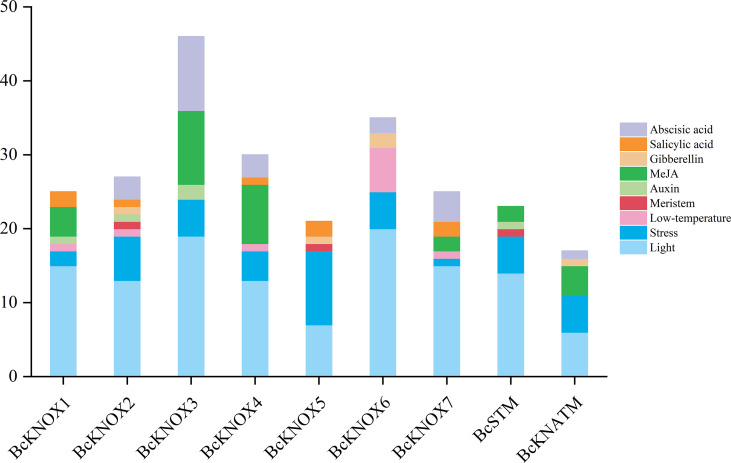 Figure 3