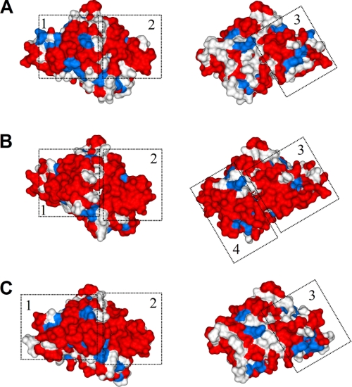 FIGURE 1.