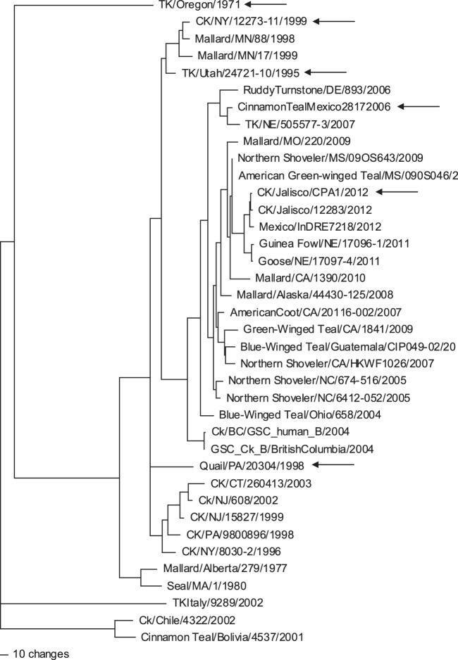 Fig 3