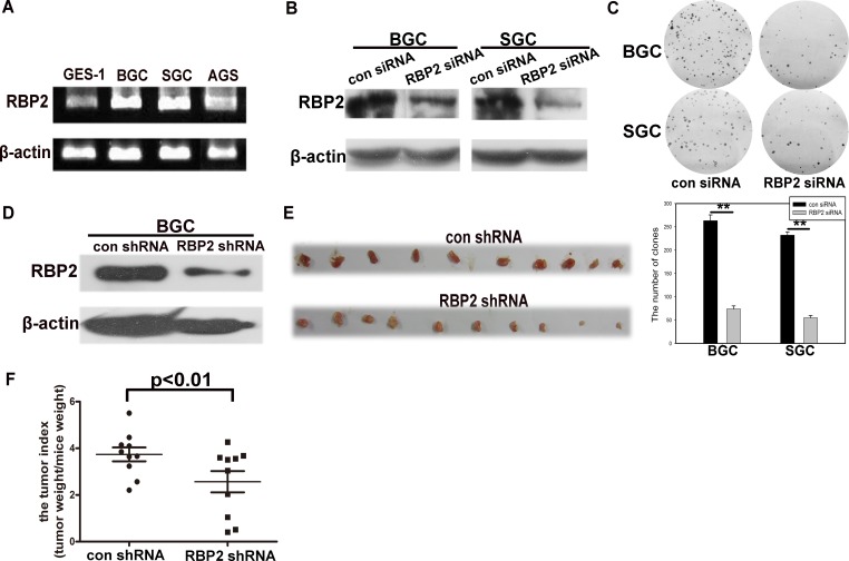 Figure1