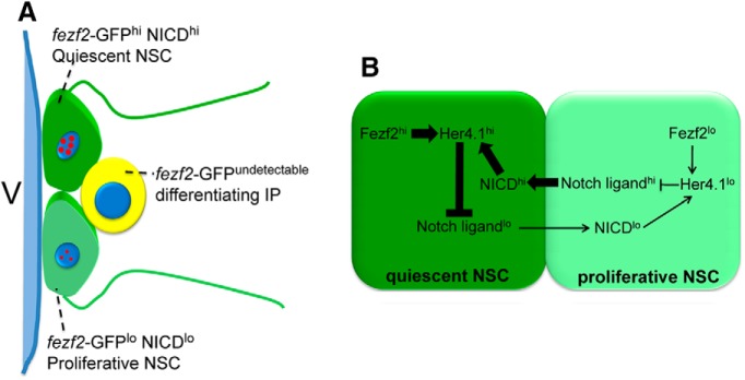 Figure 10.