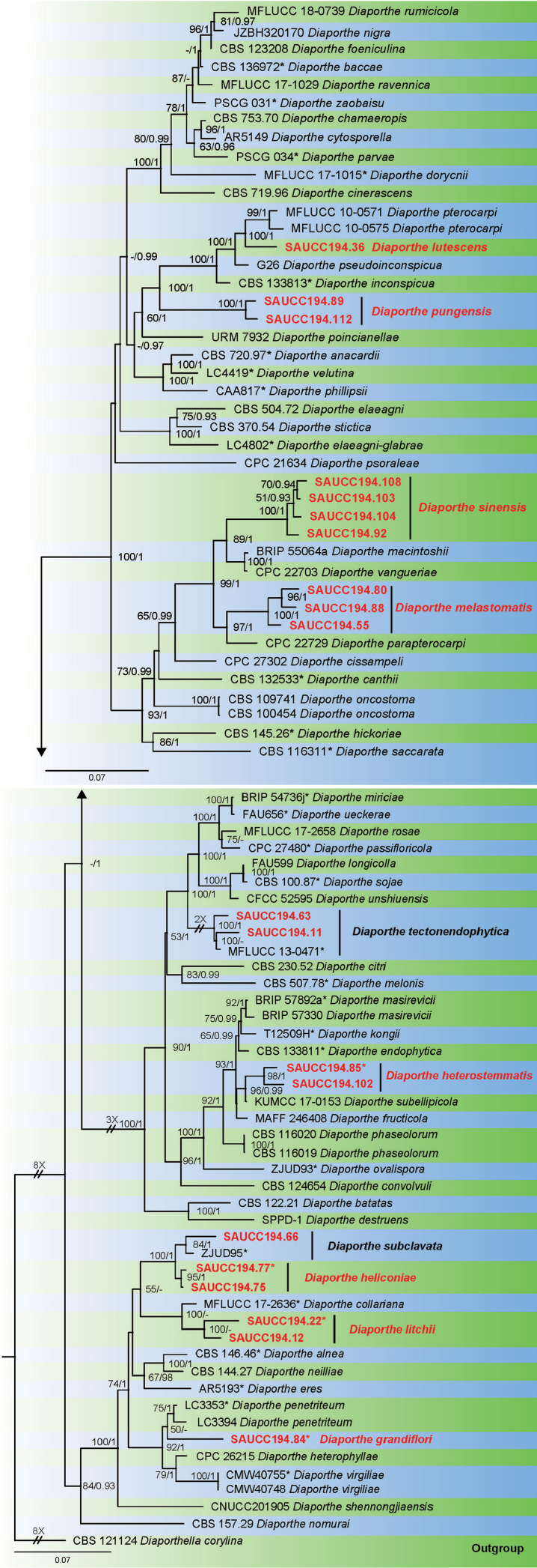 Figure 1.