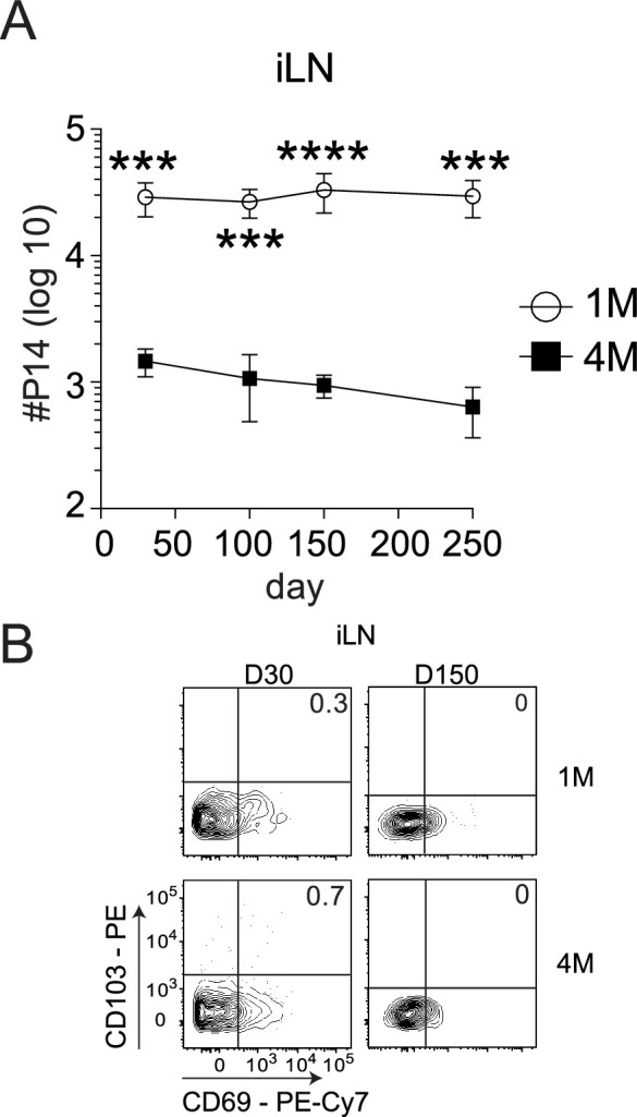 Figure 3—figure supplement 1.