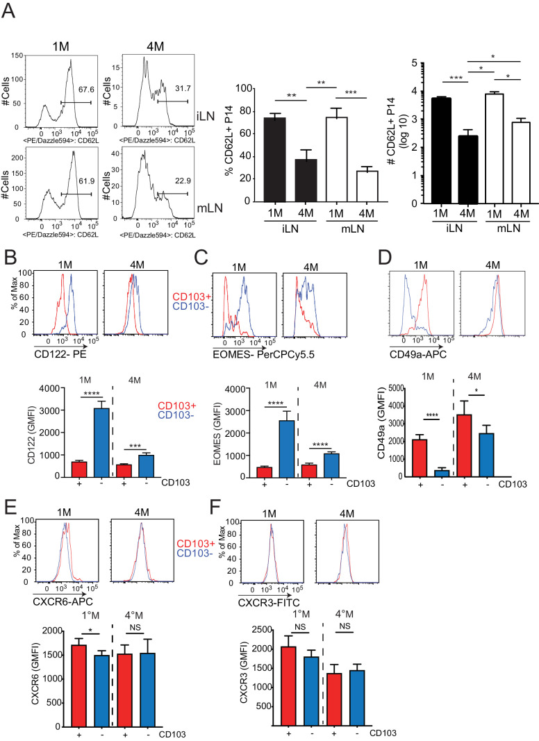 Figure 4—figure supplement 2.