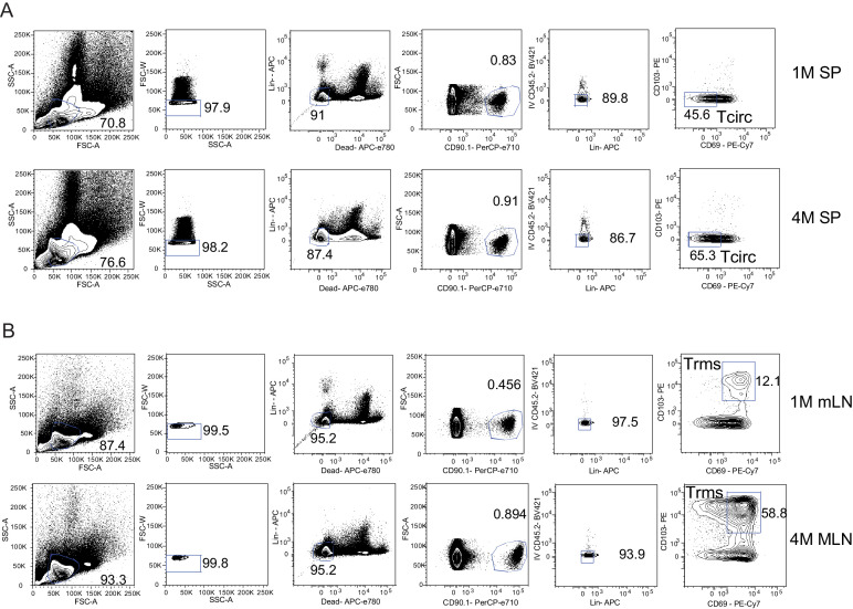 Figure 7—figure supplement 1.