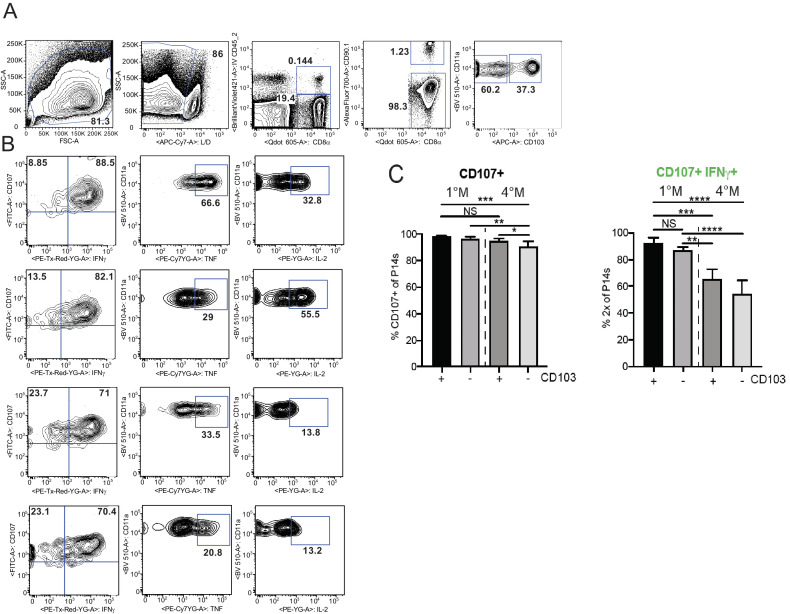 Figure 4—figure supplement 1.