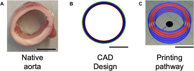 FIGURE 3