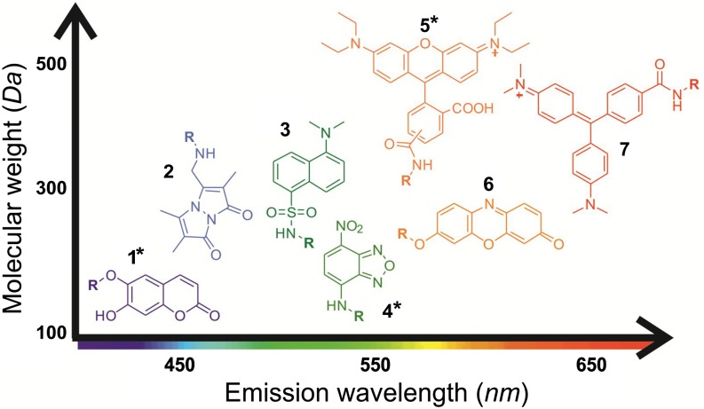 Figure 3.