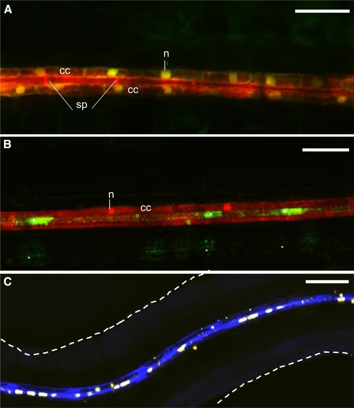 Figure 6.