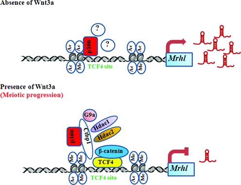 Figure 11.