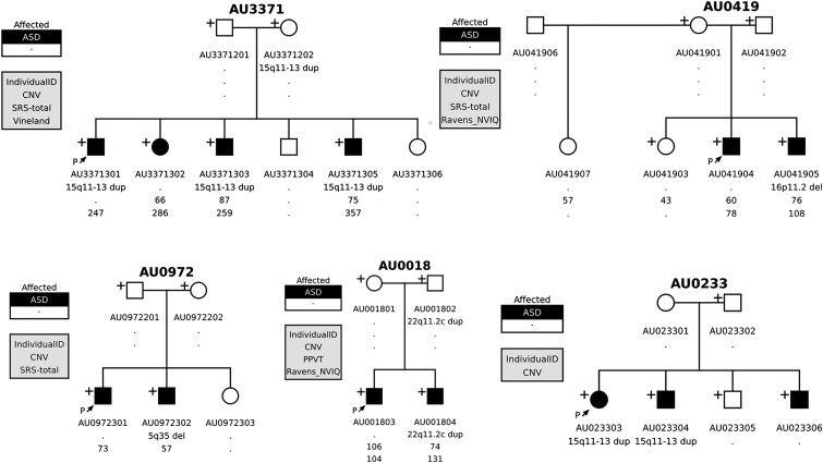 Figure 4