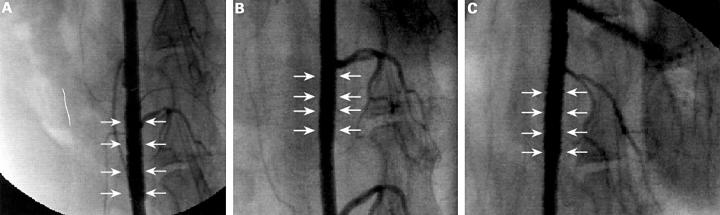 Figure 2  