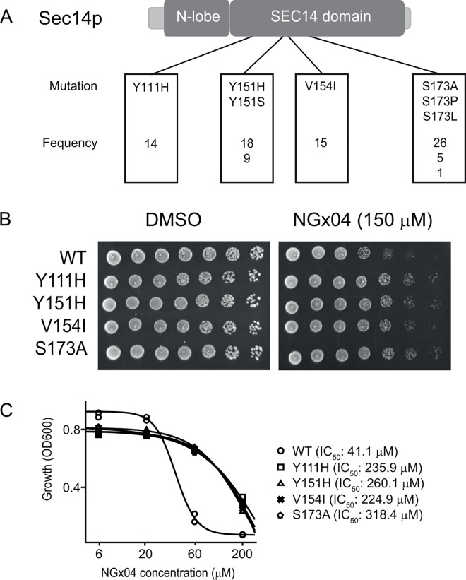 Fig 2