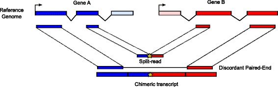 Fig. 1