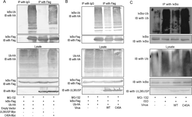 FIG 4