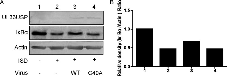 FIG 3