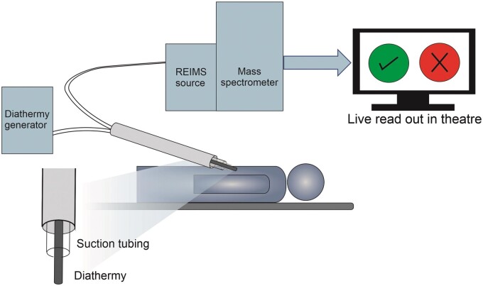 Figure 4: