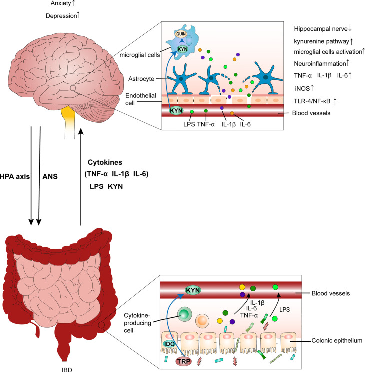 Figure 2