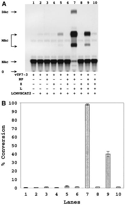 FIG. 4