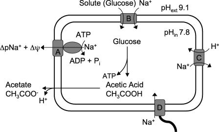 FIG. 9.