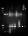 FIG. 6.