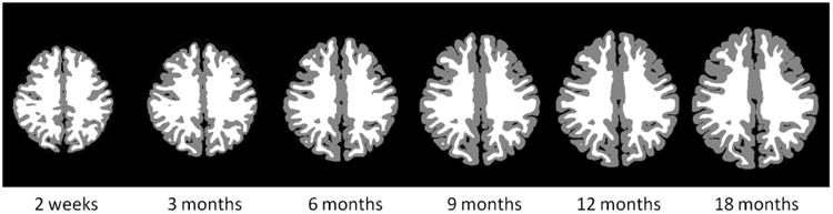 Fig. 7