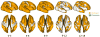 Fig. 14
