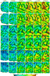 Fig. 10