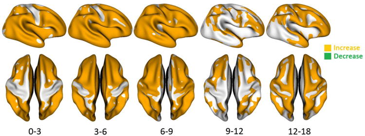 Fig. 14