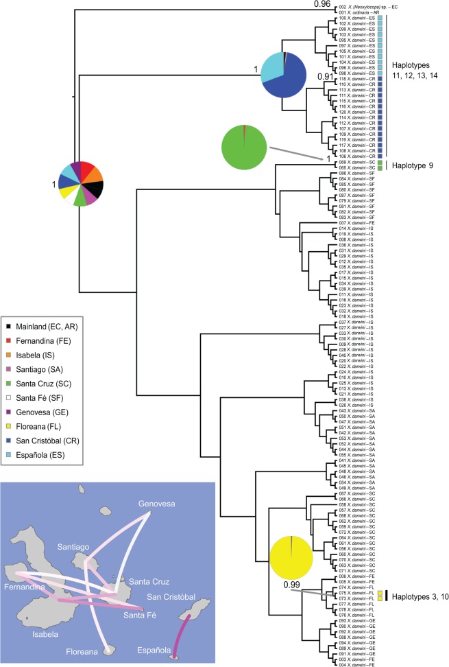 Fig 2