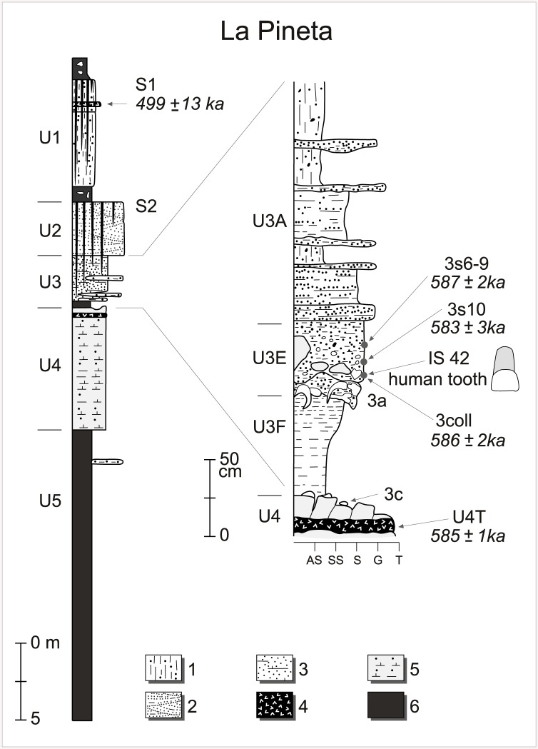 Fig 2