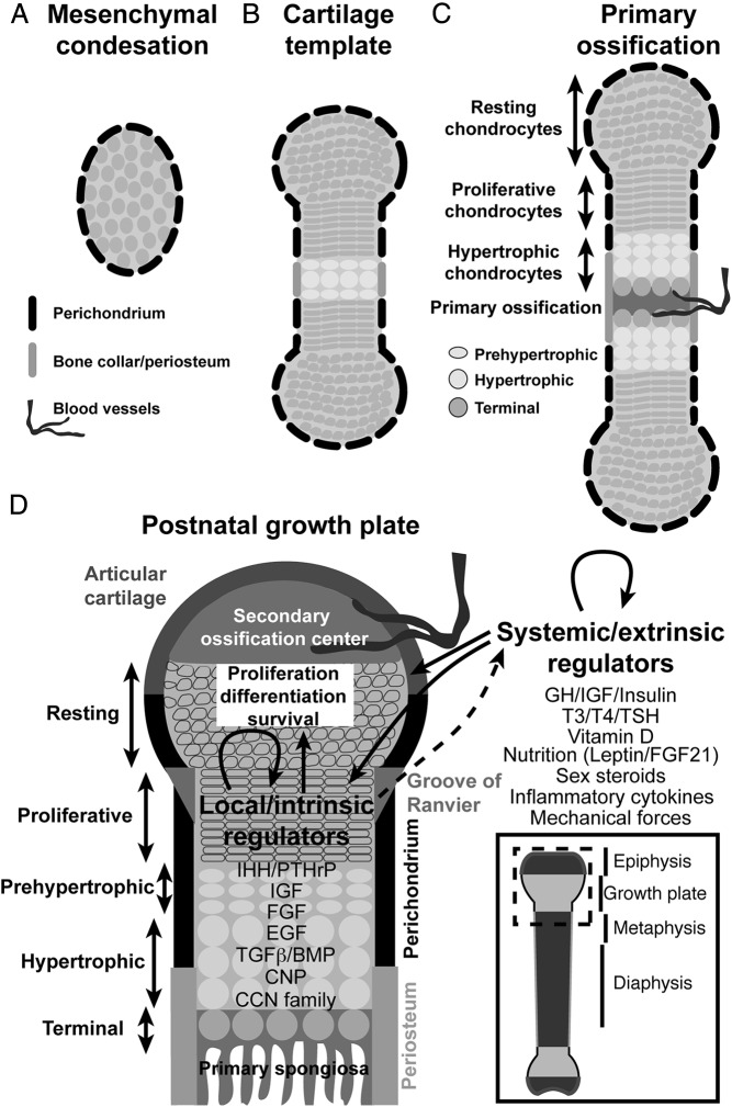 Figure 5.