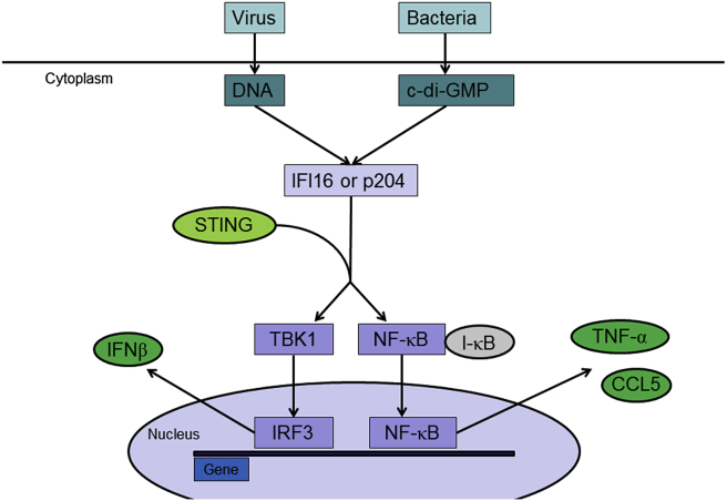 Figure 3